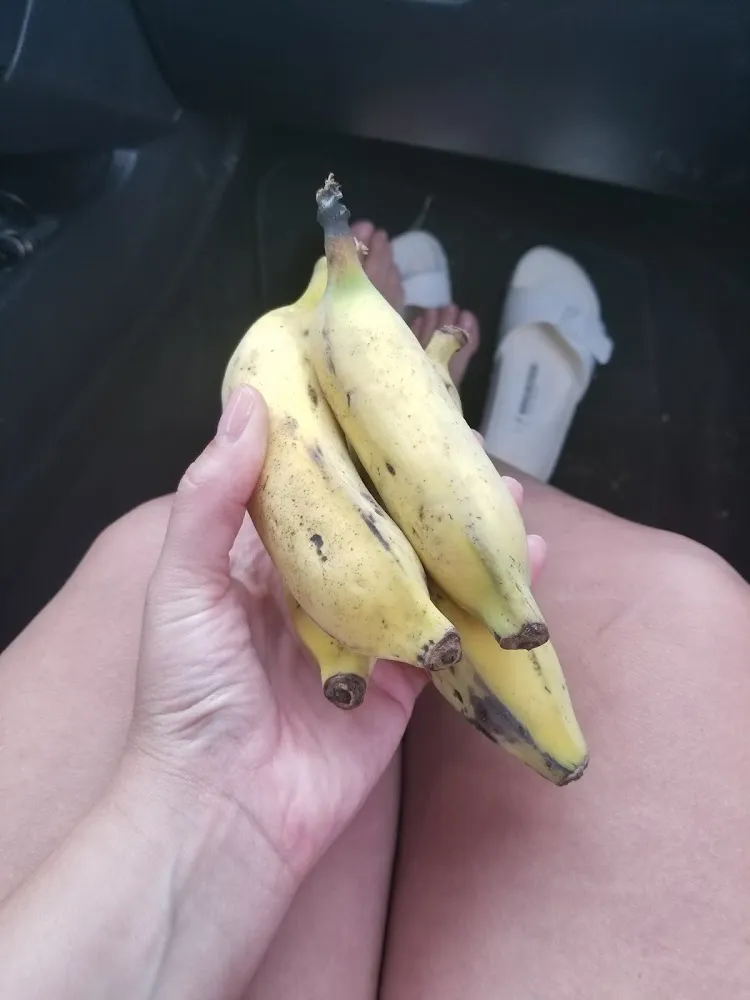 Banana